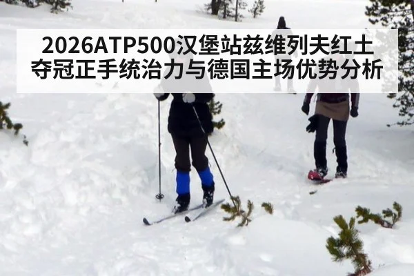 2026ATP500汉堡站兹维列夫红土夺冠正手统治力与德国主场优势分析