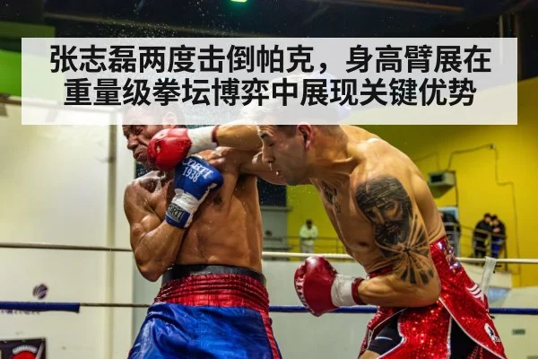 张志磊两度击倒帕克，身高臂展在重量级拳坛博弈中展现关键优势